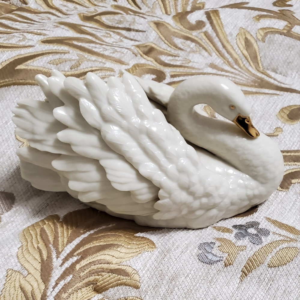 The Graceful Swan